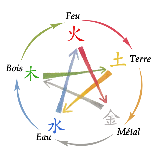 mannequin-meridiens-medecine_chinoise_traditionnelle